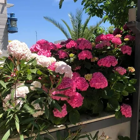 St Anna 게스트하우스 3*