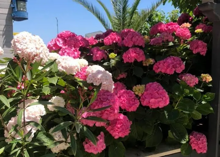 St Anna Гостевой дом 3*